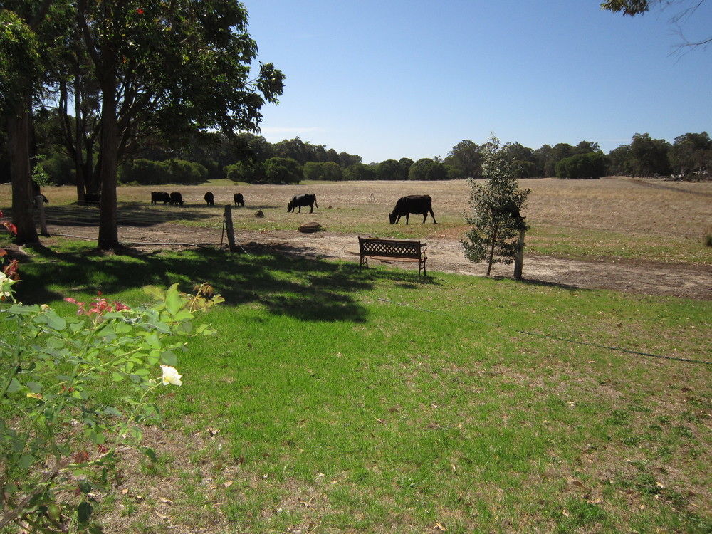 Marri Lodge Margaret River Exterior foto